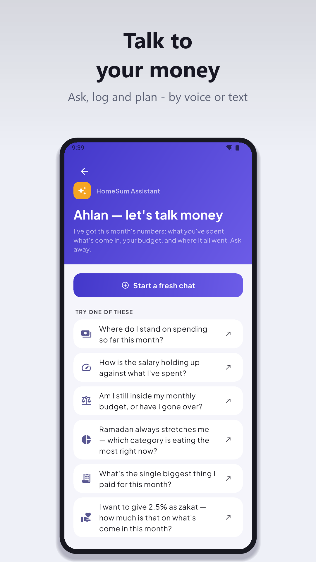 Talk to your money — the AI assistant